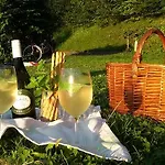 Apartamento Gaestehaus Riki Oberschmid Steinbach am Attersee