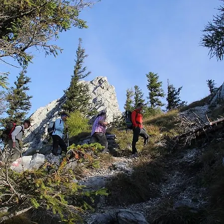 아파트 Gaestehaus Riki Oberschmid 스테인바크 암 아터시