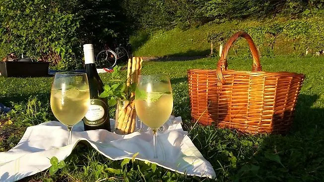 Διαμέρισμα Gaestehaus Riki Oberschmid Steinbach am Attersee