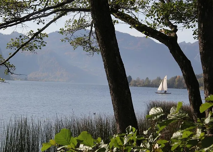 Gaestehaus Riki Oberschmid Steinbach am Attersee