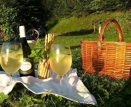 Appartement Gaestehaus Riki Oberschmid Steinbach am Attersee