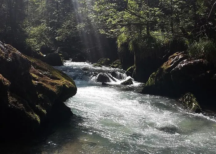 Gaestehaus Riki Oberschmid Steinbach am Attersee