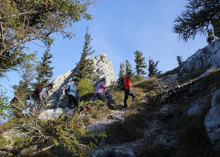 Appartement Gaestehaus Riki Oberschmid Steinbach am Attersee